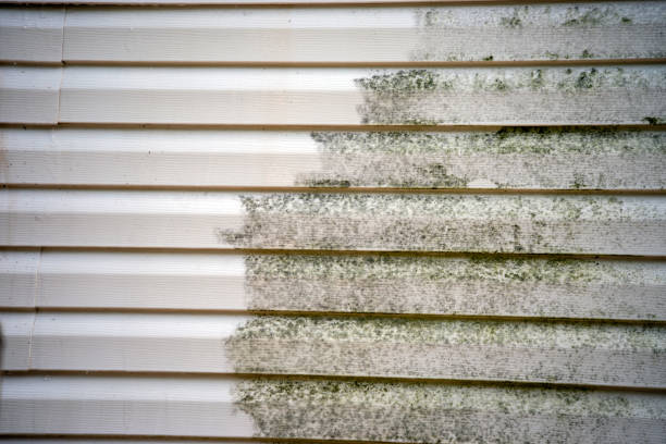 Best Property Management Cleanouts  in Shelby, NC