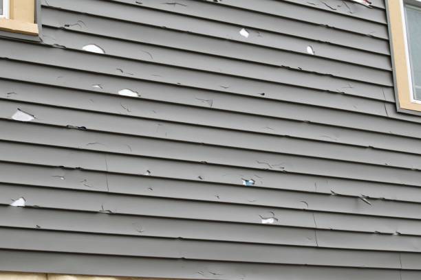Best Same-Day Junk Removal Services  in Shelby, NC